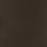 Liquitex (HB) 59ml Burnt Umber S1